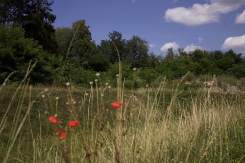 Centro Uno meadow exterior